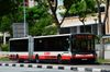 Thumbnail: TIB1164L — Historical archive of a Mercedes-Benz O.405G (Hispano Habit) articulated (bendy) bus operating on service 800 under SMRT Buses. Photographed in October 2017, buses of this model type have since been completely retired from passenger service.